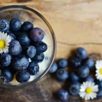 blueberries, berries, fresh-2278921.jpg